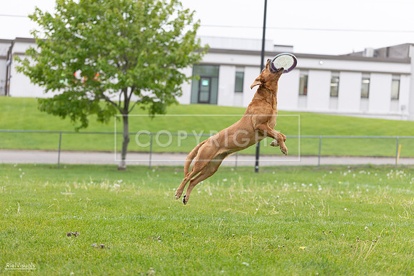 RielVisuals_20260518_183341_SJR_4393
