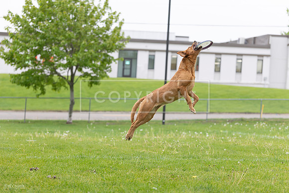 RielVisuals_20260518_183341_SJR_4395