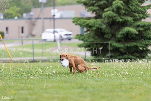 RielVisuals_20260518_183353_SJR_4453