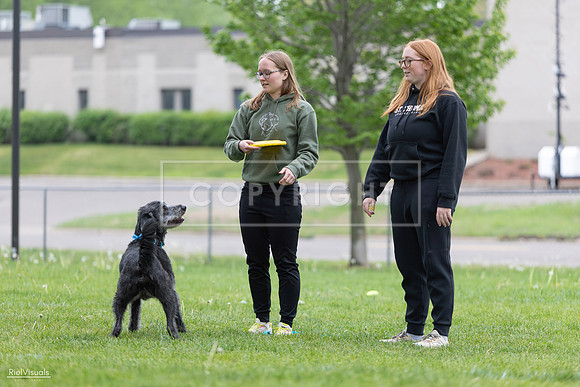 RielVisuals_20260518_183603_SJR_4457