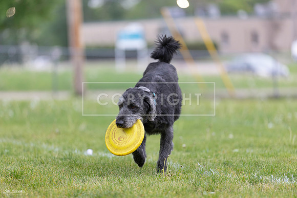 RielVisuals_20260518_183625_SJR_4498