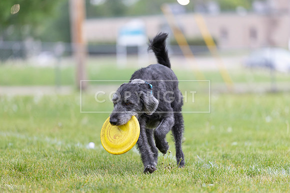 RielVisuals_20260518_183626_SJR_4503