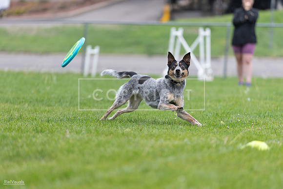 RielVisuals_20260518_183827_SJR_4558