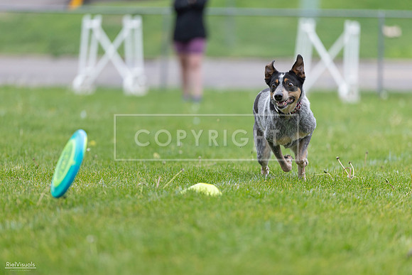RielVisuals_20260518_183827_SJR_4575