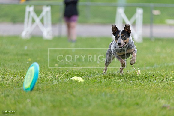 RielVisuals_20260518_183827_SJR_4577