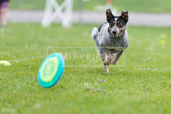 RielVisuals_20260518_183827_SJR_4587
