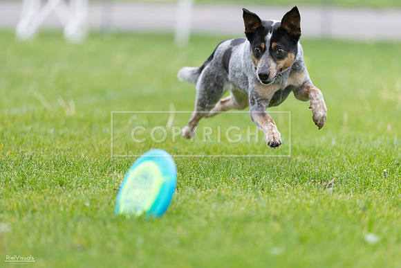 RielVisuals_20260518_183828_SJR_4591