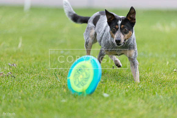 RielVisuals_20260518_183828_SJR_4596