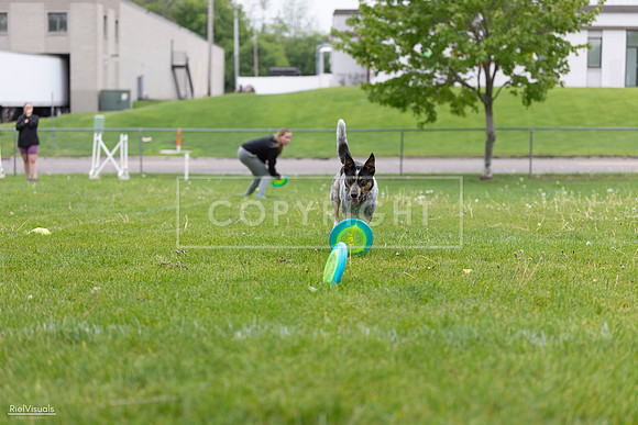RielVisuals_20260518_183839_SJR_4644