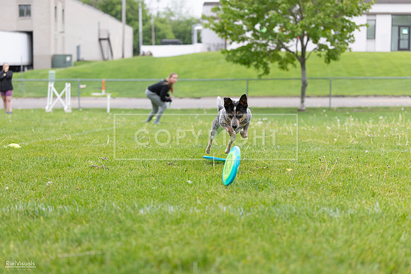 RielVisuals_20260518_183839_SJR_4649
