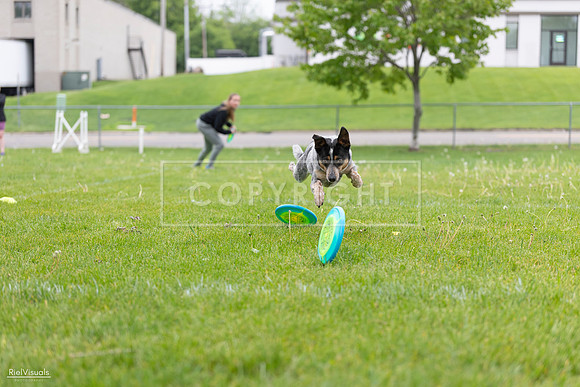 RielVisuals_20260518_183839_SJR_4651