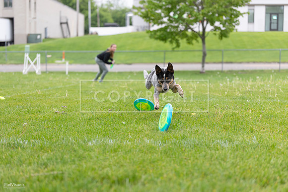 RielVisuals_20260518_183839_SJR_4652