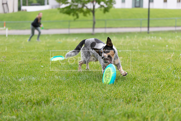 RielVisuals_20260518_183839_SJR_4663