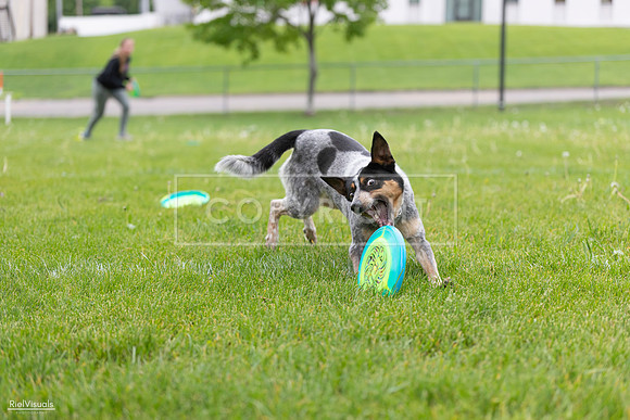 RielVisuals_20260518_183839_SJR_4664