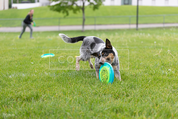 RielVisuals_20260518_183839_SJR_4665