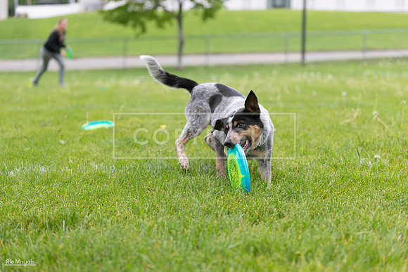 RielVisuals_20260518_183839_SJR_4666