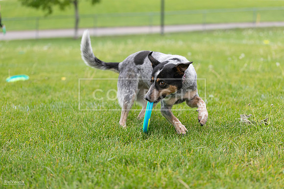 RielVisuals_20260518_183840_SJR_4671