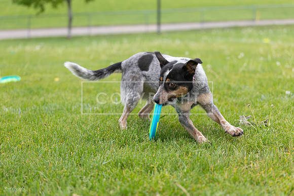 RielVisuals_20260518_183840_SJR_4672