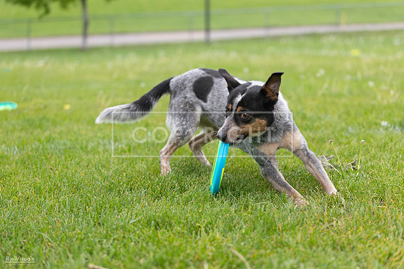 RielVisuals_20260518_183840_SJR_4673