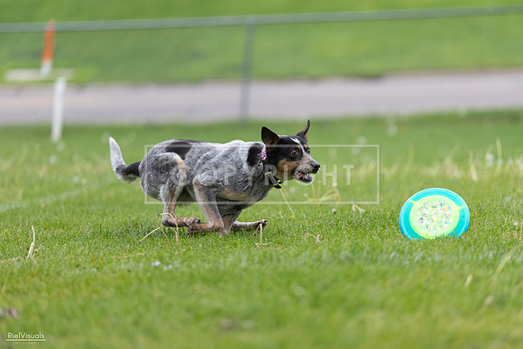 RielVisuals_20260518_183906_SJR_4738