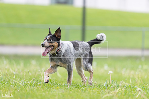 RielVisuals_20260518_183941_SJR_4804