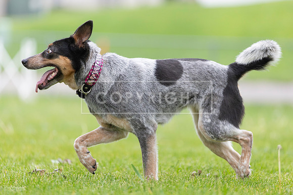 RielVisuals_20260518_183943_SJR_4814