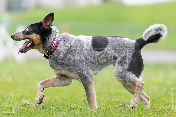 RielVisuals_20260518_183943_SJR_4815