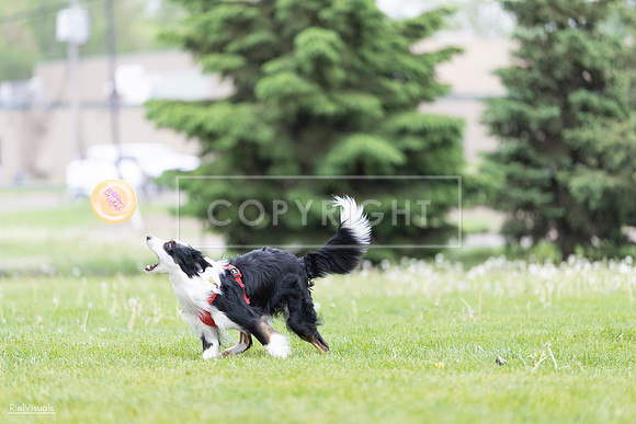 RielVisuals_20260518_184127_SJR_4830