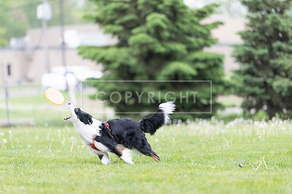RielVisuals_20260518_184127_SJR_4831