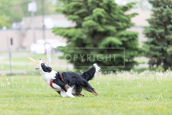 RielVisuals_20260518_184127_SJR_4832