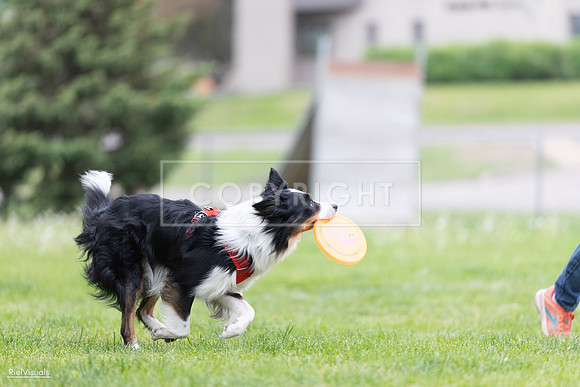 RielVisuals_20260518_184129_SJR_4838