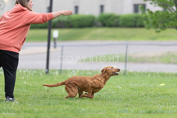RielVisuals_20260518_184506_SJR_4995