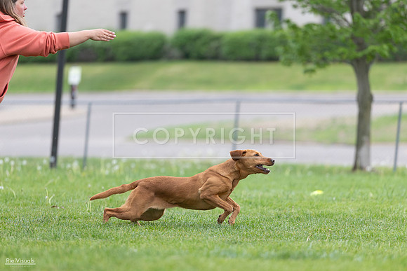 RielVisuals_20260518_184506_SJR_4997