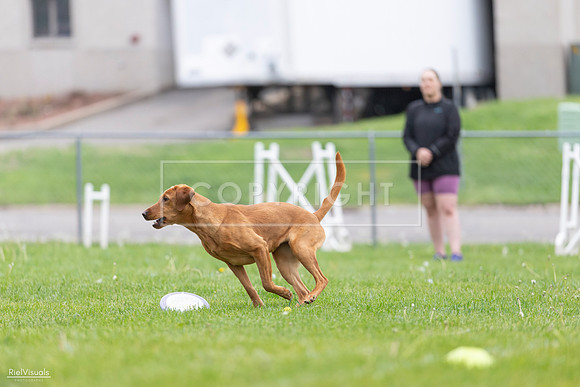 RielVisuals_20260518_184512_SJR_5009