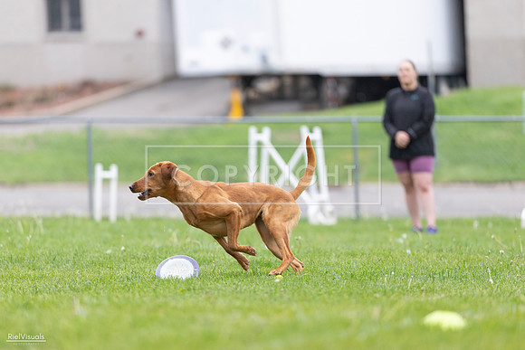 RielVisuals_20260518_184512_SJR_5010