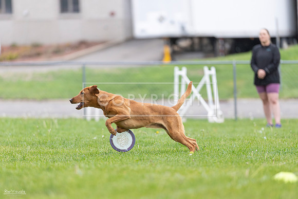 RielVisuals_20260518_184512_SJR_5013
