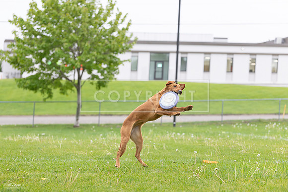 RielVisuals_20260518_184515_SJR_5041