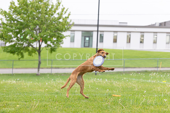 RielVisuals_20260518_184515_SJR_5042