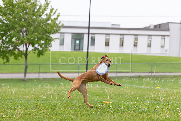 RielVisuals_20260518_184515_SJR_5044