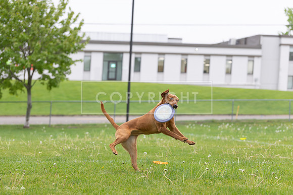 RielVisuals_20260518_184515_SJR_5045