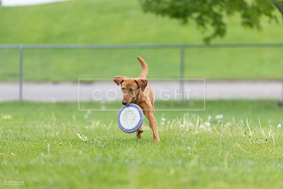 RielVisuals_20260518_184552_SJR_5077