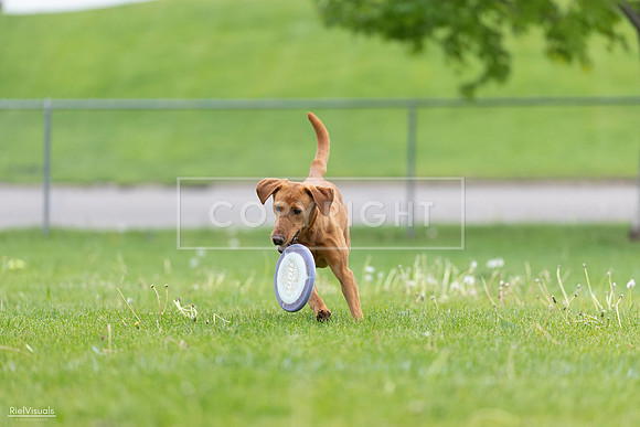 RielVisuals_20260518_184552_SJR_5078