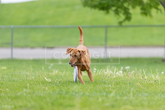 RielVisuals_20260518_184552_SJR_5079