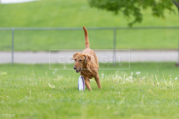 RielVisuals_20260518_184552_SJR_5080
