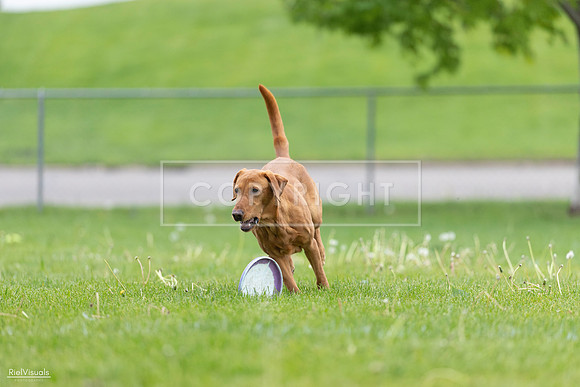 RielVisuals_20260518_184552_SJR_5081