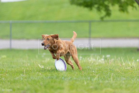 RielVisuals_20260518_184552_SJR_5087