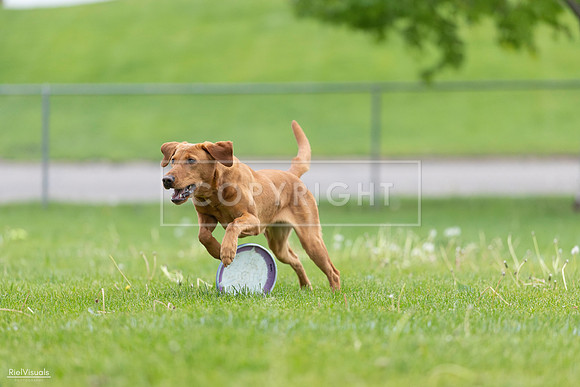 RielVisuals_20260518_184552_SJR_5088