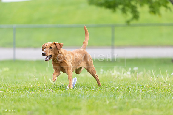 RielVisuals_20260518_184552_SJR_5090