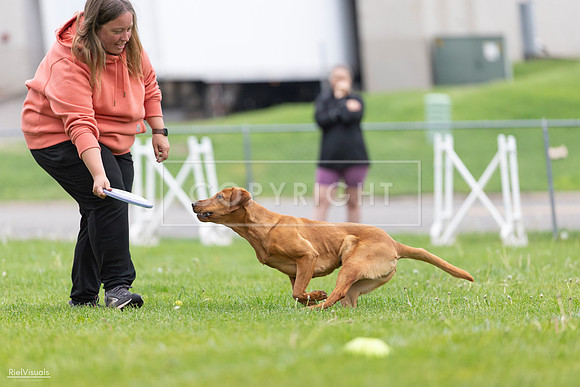 RielVisuals_20260518_184607_SJR_5143