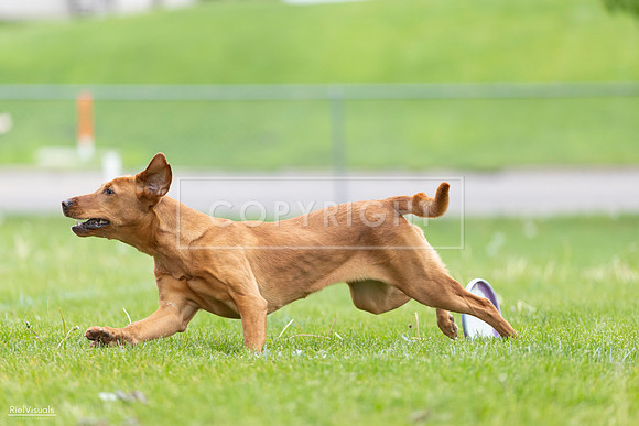 RielVisuals_20260518_184553_SJR_5091